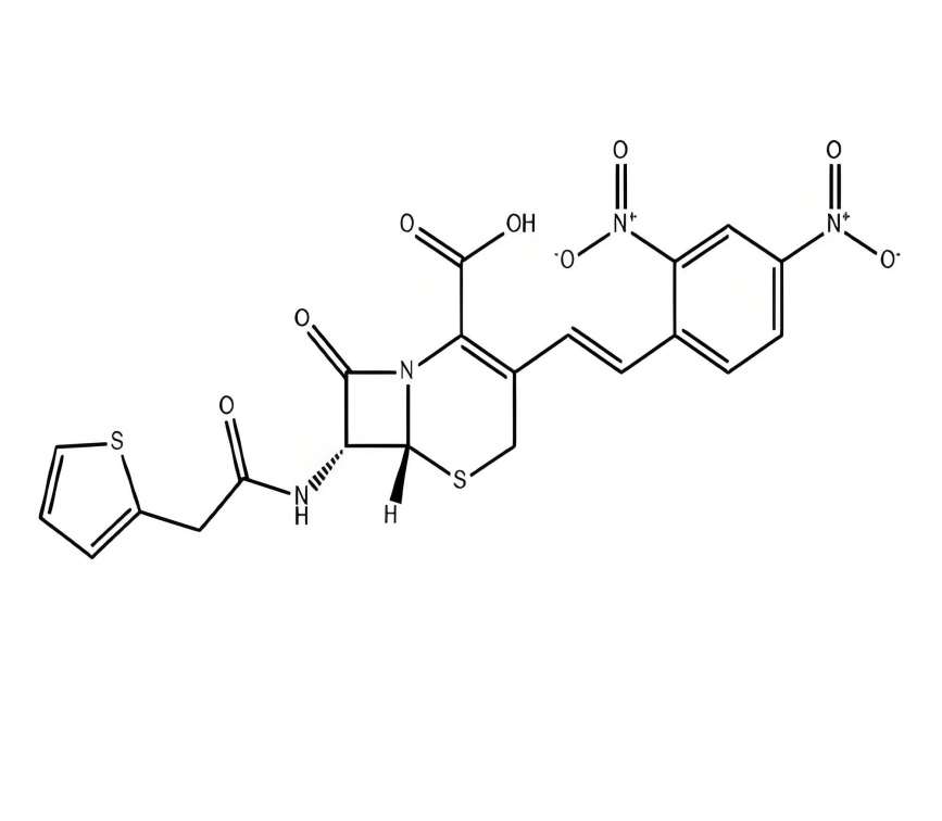 Japanese pharmaceutical companies
