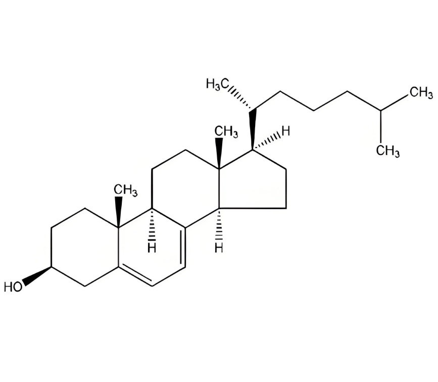 Indian nutritional ingredient supplier