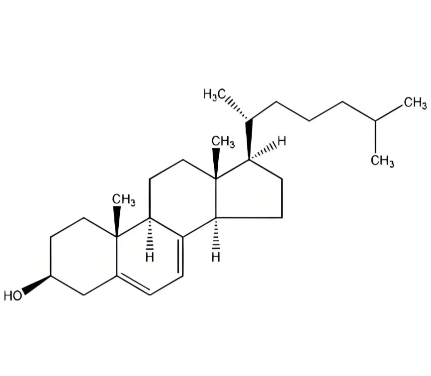 Germany Fine Chemical Group